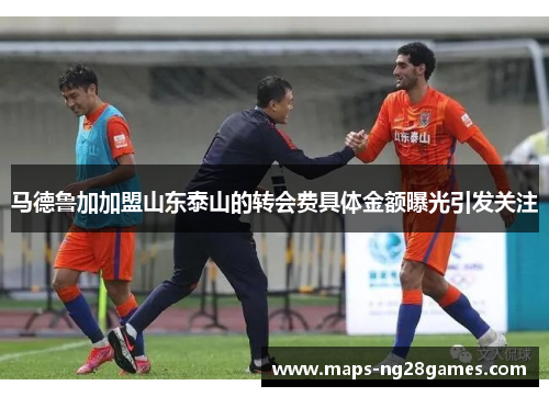 马德鲁加加盟山东泰山的转会费具体金额曝光引发关注